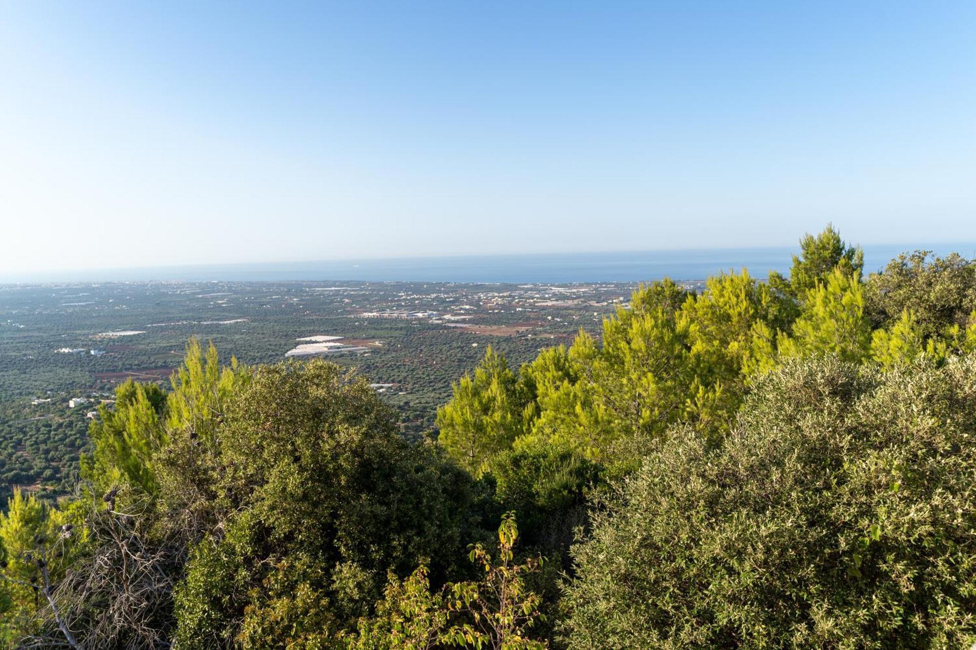 Villa Bagorda Selva Di Fasano Eksteriør bilde